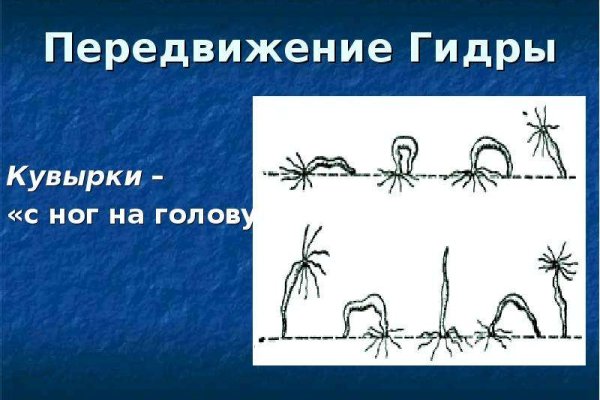 Ссылка для входа на сайт kraken