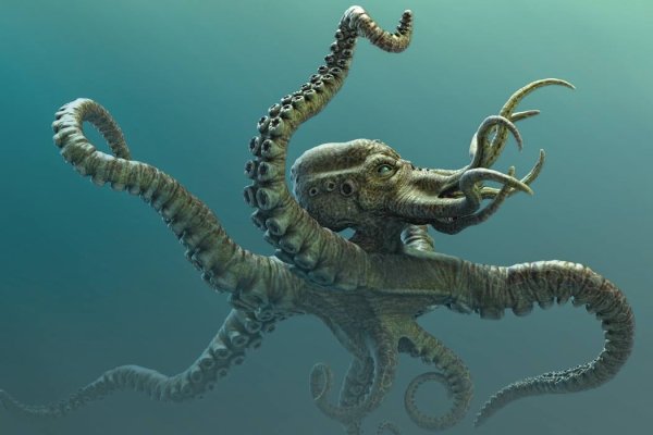 Kraken что это такое