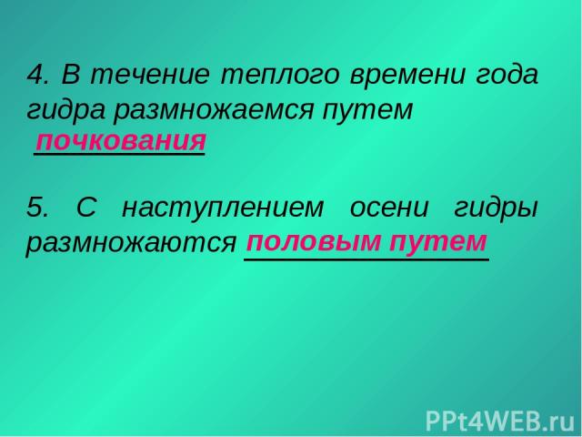 Как подключиться к даркнету